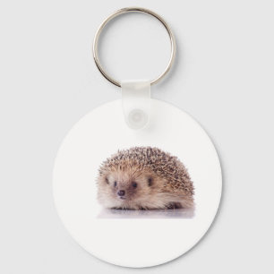 Hedgehog, Sleutelhanger
