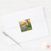 Hedgehog Sniffing a Yellow Daffodil Vierkante Sticker (Envelop)
