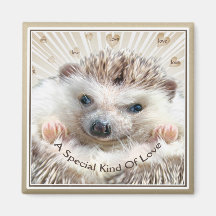 Hedgehog speciale soort liefde