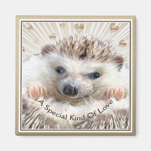 Hedgehog speciale soort liefde magneet (Voorkant)