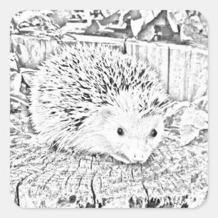 Hedgehog stickers