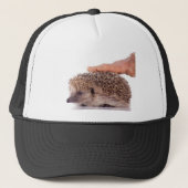 Hedgehog, Trucker Pet (Voorkant)