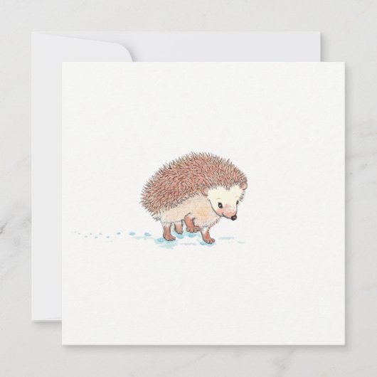 Hedgehog's Big Adventure Kaart (Voorkant)