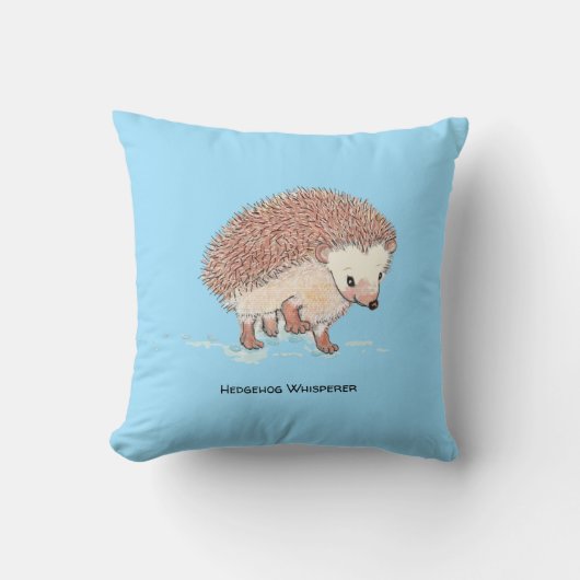 Hedgehog's Big Adventure Kussen (Voorkant)