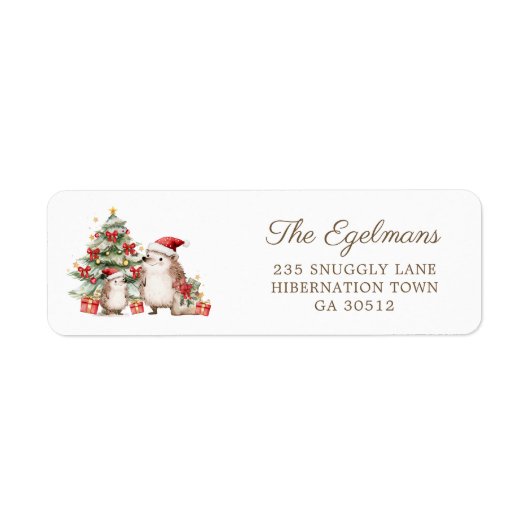 Hedgehogs Santa Hat Christmas Return Address Label (Voorkant)