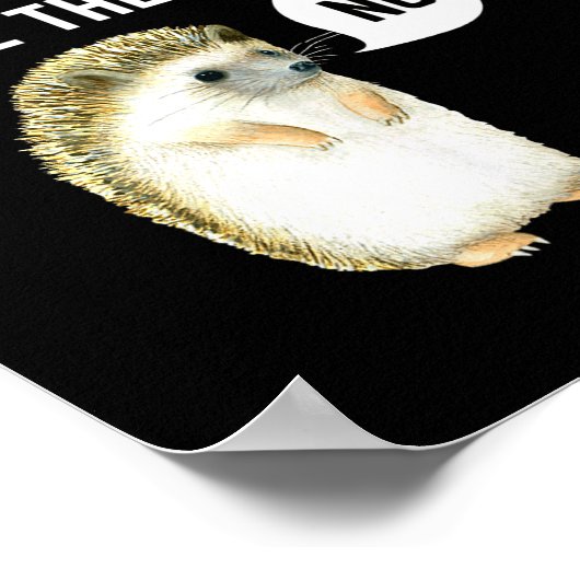 Hedgehogs Why Don't They Just Share The Hedge Funn Poster (Hoek)