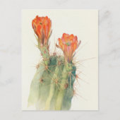 Hedgel Cactus van Margaret Armstrong Briefkaart (Voorkant)