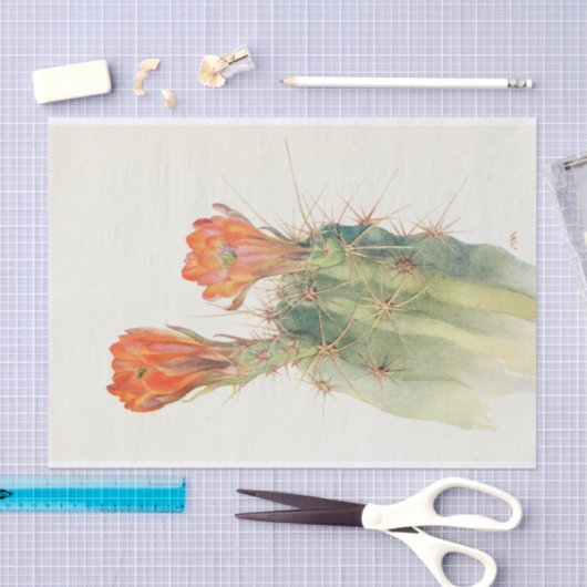 Hedgel Cactus van Margaret Armstrong Tissuepapier (Craft)