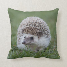 Hedgel Cushion