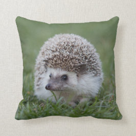 Hedgel Cushion Kussen