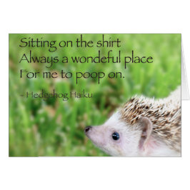 Hedgel Haiku