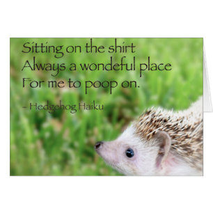 Hedgel Haiku