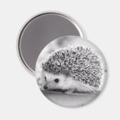 Hedgel Magnet (Voorkant / Achterkant)