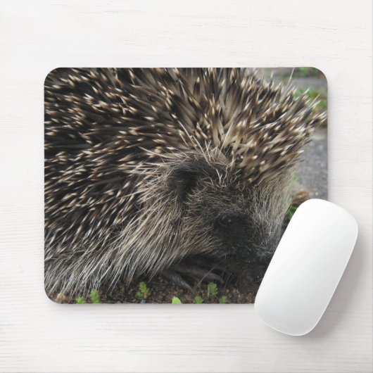 Hedgel Mousepad Muismat (Met muis)