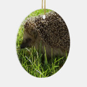 Hedgel Ornament (Rechts)