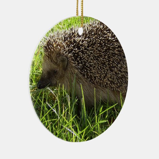 Hedgel Ornament (Rechts)