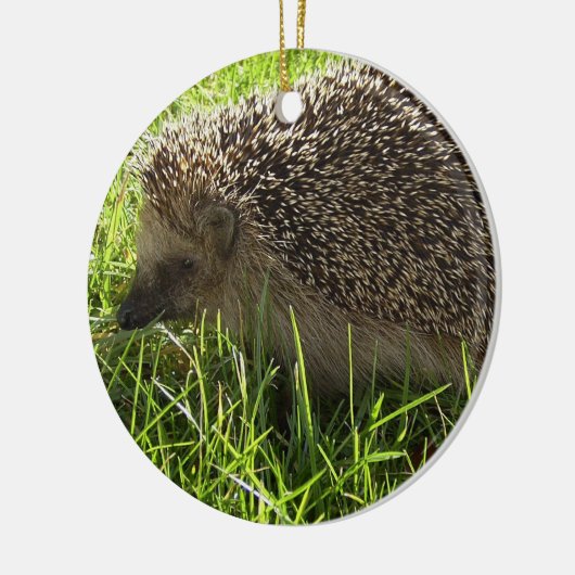 Hedgel Ornament (Links)