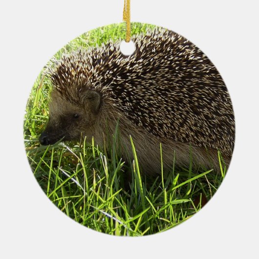 Hedgel Ornament (Achterkant)