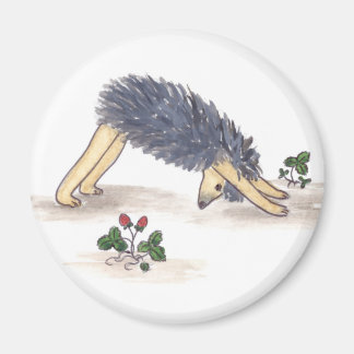 Hedgel Yoga Magneet