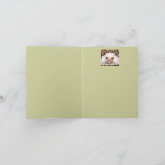 hedghog met druivesuiker Dank u dat u niet op de m Bedankkaart (Binnen)