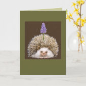 hedghog met druivesuiker kaart (Gele Bloem)