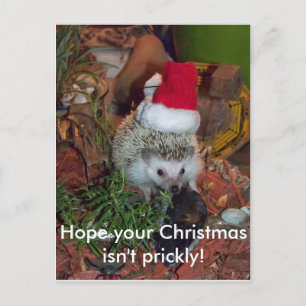 Hedgie de Egel wenst u Vrolijke Kerstmis Feestdagenkaart