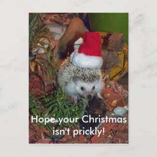Hedgie de Egel wenst u Vrolijke Kerstmis Feestdagenkaart