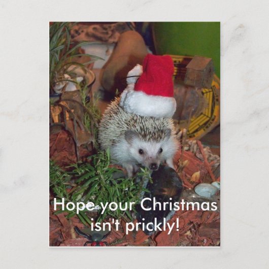 Hedgie de Egel wenst u Vrolijke Kerstmis Feestdagenkaart (Voorkant)