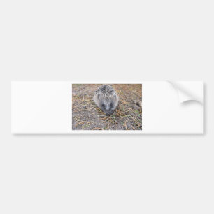 Hedgie-producten Bumpersticker