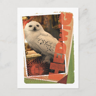 Hedwig 1 briefkaart