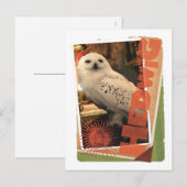 Hedwig 1 briefkaart (Voorkant / Achterkant)