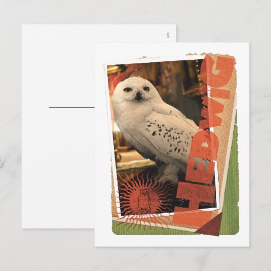 Hedwig 1 briefkaart (Voorkant / Achterkant)