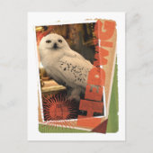 Hedwig 1 briefkaart (Voorkant)