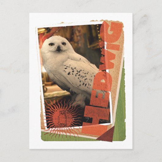 Hedwig 1 briefkaart (Voorkant)