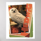 Hedwig 1 poster (Voorkant)