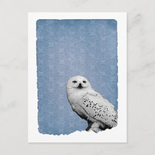 Hedwig 2 briefkaart