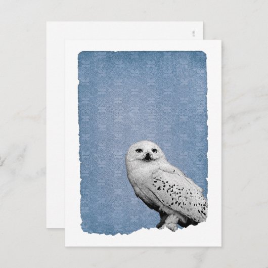 Hedwig 2 briefkaart (Voorkant / Achterkant)