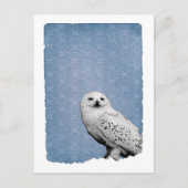 Hedwig 2 briefkaart (Voorkant)
