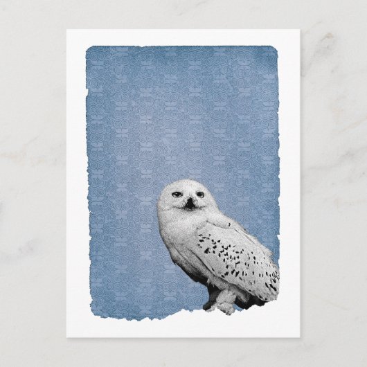 Hedwig 2 briefkaart (Voorkant)
