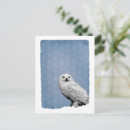 Hedwig 2 briefkaart (Staand voorkant)