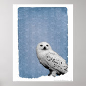 Hedwig 2 poster (Voorkant)