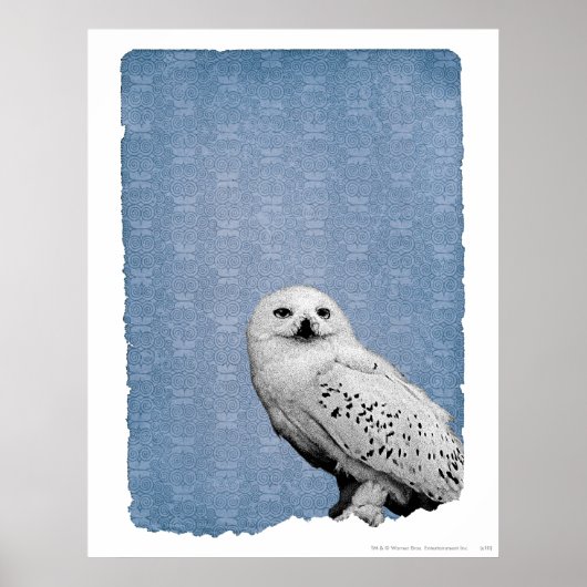 Hedwig 2 poster (Voorkant)
