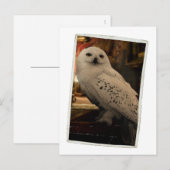 Hedwig 3 briefkaart (Voorkant / Achterkant)