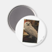 Hedwig 3 magneet (Voorkant / Achterkant)