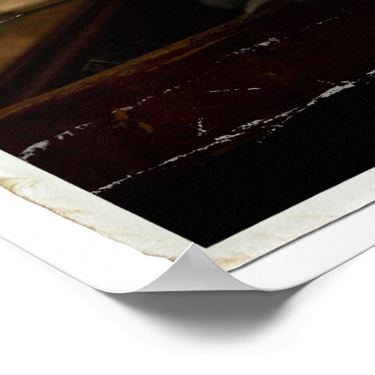 Hedwig 3 poster (Hoek)