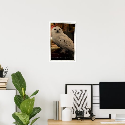 Hedwig 3 poster (Thuiskantoor)