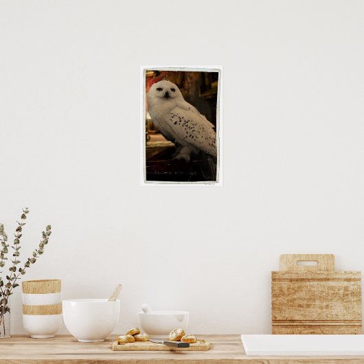 Hedwig 3 poster (Keuken)