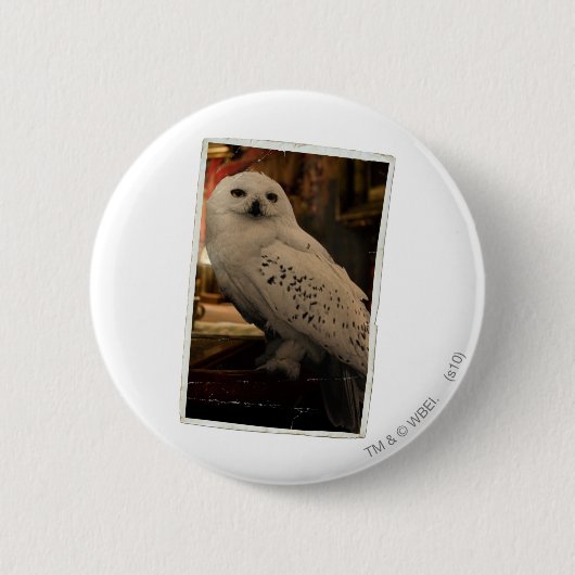 Hedwig 3 ronde button 5,7 cm (Voorkant)