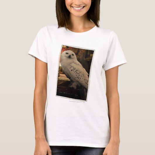 Hedwig 3 t-shirt (Voorkant)