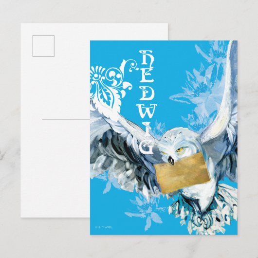Hedwig Briefkaart (Voorkant / Achterkant)